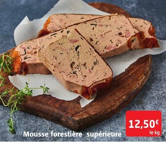Mousse forestière supérieure