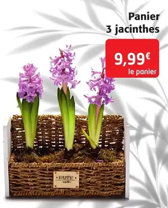 Colruyt Panier 3 Jacinthes offre