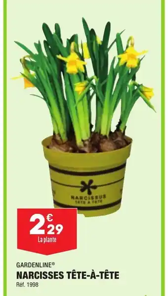 Narcisses Tte-à-tête