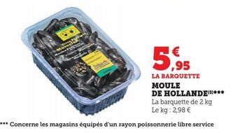 Moule de hollande