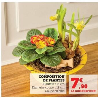 Hyper U Composition de plantes offre