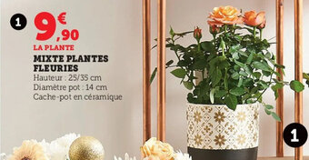 Hyper U Mixte Plantes Fleuries offre