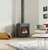 Brico Dépôt Poêle à bois "vosges" 8 kw - invicta offre