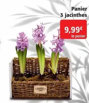 Colruyt Panier 3 jacinthes offre