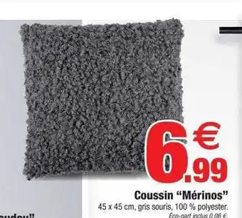 Bazarland Coussin offre