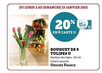 Hyper U Bouquet de 9 tulipes u offre