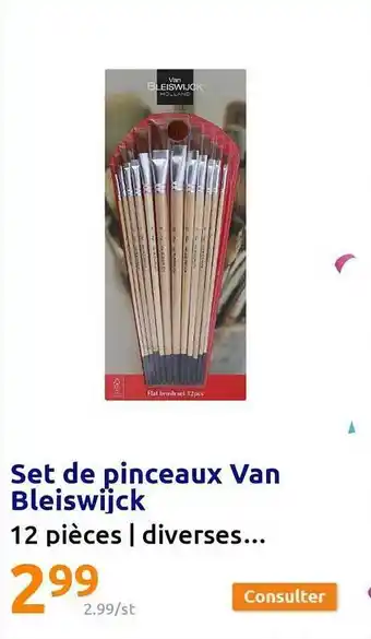 Action Set de pinceaxu van bleiswijck offre
