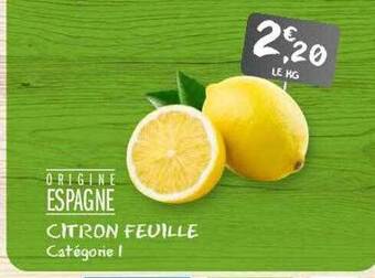 Citron feuille