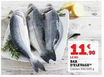 Hyper U Bar d'élevage offre