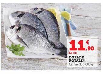 Hyper U Dorade royale offre
