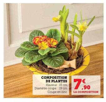 Hyper U Composition de plantes offre