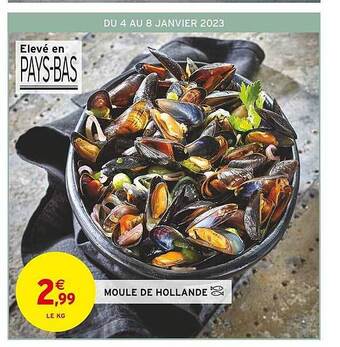 Intermarché Moule de hollande offre