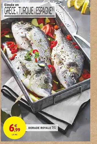 Intermarché Dorade royale offre