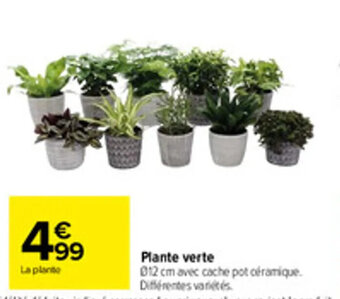 Carrefour Plante verte offre