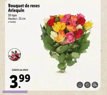 Lidl Bouquet de roses arlequin offre