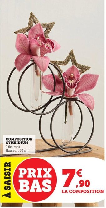 Hyper U Composition Cymbidium offre