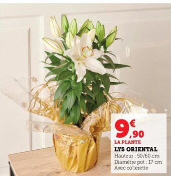 Hyper U Lys oriental offre