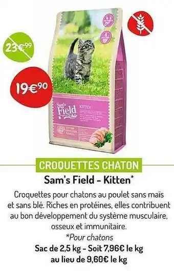 Croquette chaton sam's field - kitten