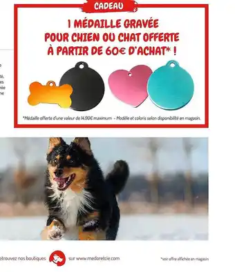 Médor et Compagnie 1 médaille gravée pour chien ou chat offre