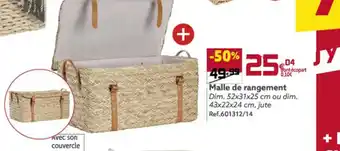 Gifi Malle De Rangement offre