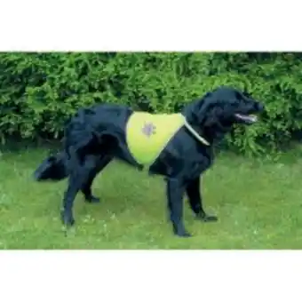 Point Vert Gilet de sécurité pour chien trixie offre