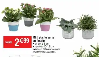Plantes