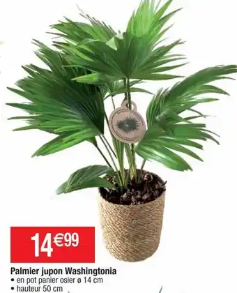 Cora x Carrefour Palmiers offre