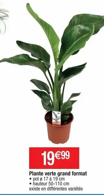 Cora x Carrefour Plantes offre
