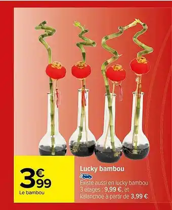 Carrefour Lucky bambou offre