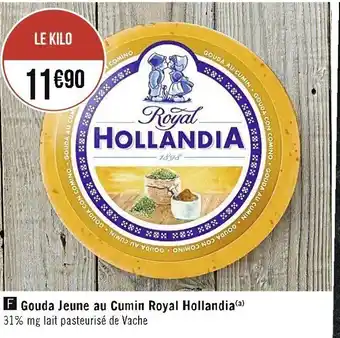 Gouda Jeune au Cumin Royal Hollandia