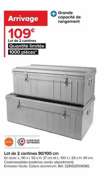 Castorama Lot de 2 cantines 90-100 cm offre