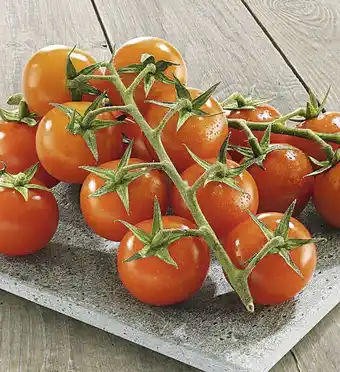 Casino Supermarchés Tomate cocktail grappe offre