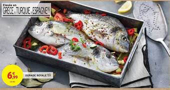 Intermarché Dorade royale offre