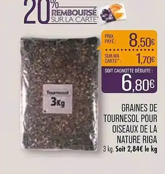 Graines de tournesol pour oiseaux de la nature riga