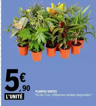 E.Leclerc Plantes Vertes offre
