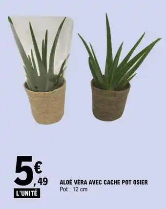 E.Leclerc Aloe vera Avec Cache Pot Osier offre