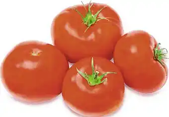 Casino Supermarchés Tomate ronde charnue offre