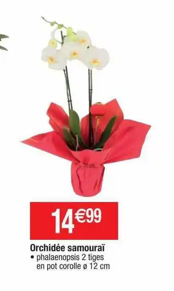 Cora x Carrefour Orchidée samouraï offre