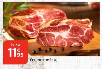 Bi1 Échine Fumée offre