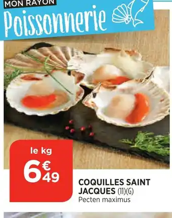 Bi1 Coquilles Saint Jacques offre