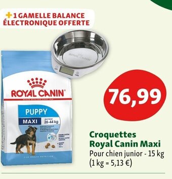 Maxi Zoo Croquettes Royal Canin Maxi offre