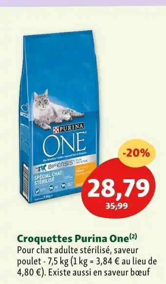 Maxi Zoo Croquettes Purina One offre