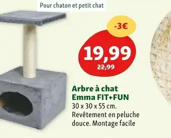 Maxi Zoo Arbre à Chat Emma Fit+Fun offre