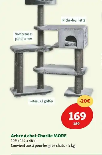 Maxi Zoo Arbre à Chat Charlie More offre