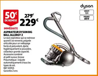 Apirateur Dyson Big Ball Allegy 2