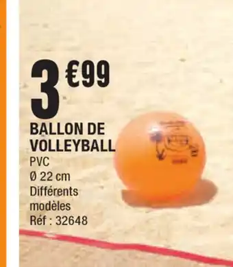 La Foir'Fouille Ballon de volleyball offre