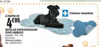 La Foir'Fouille Matelas Rafraichissant pour Animaux offre