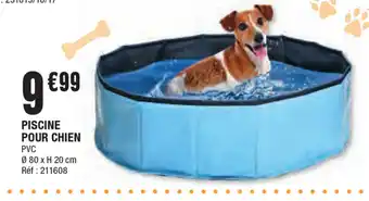 La Foir'Fouille Piscine Pour Chien offre