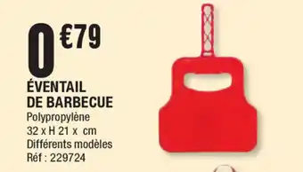 La Foir'Fouille Eventail De Barbecue offre