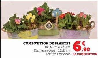 Hyper U Composition de plantes offre